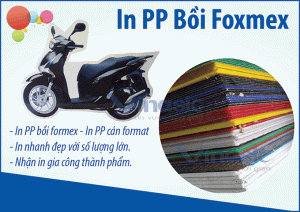 in-pp-boi-format-1-300x212